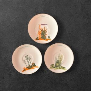 BLAKELY VINTAGE SOUTHWEST ARIZONA CACTUS REPLACEMENT SAUCERS 3 IN SET